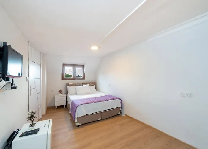 Old House Provincia di Istanbul